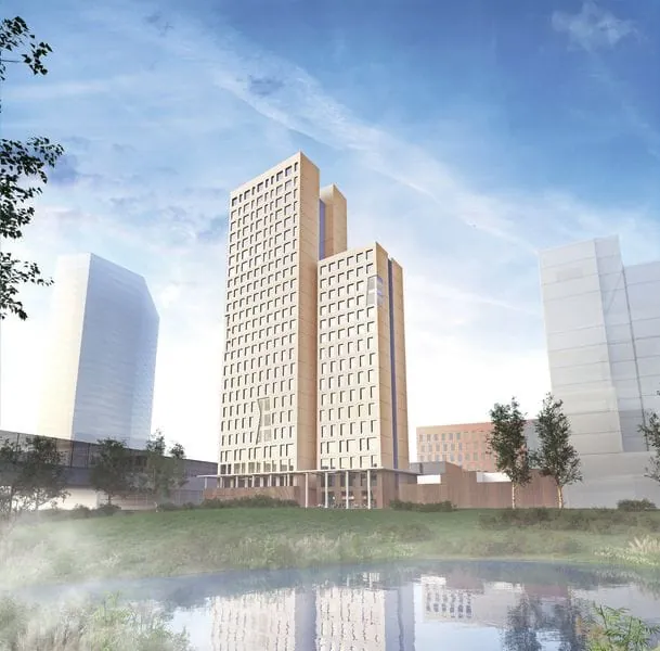 Branchen-Check: Zimmerer