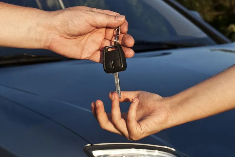 Wertewandel: Car-Sharing immer beliebter