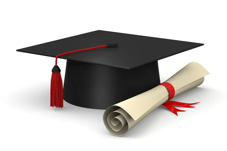 Akademisierung, Ausbildung, Studium