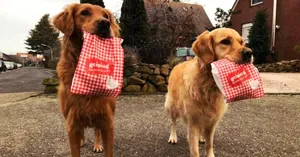 B&auml;ckerei Geiping