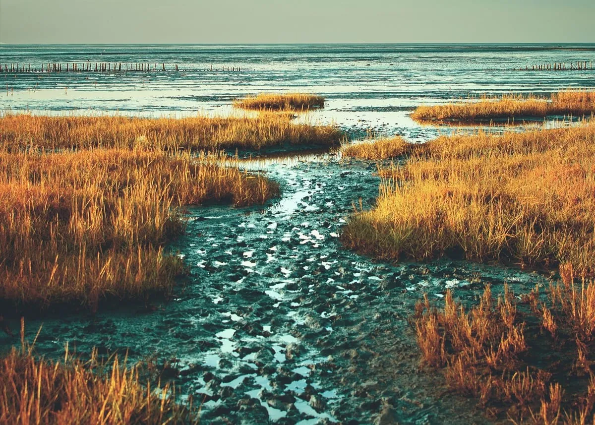 Schleswig-Holstein: So unterstützt die Landesregierung