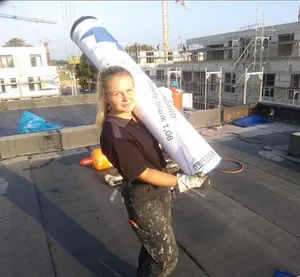 H&ouml;rnschemeyer D&auml;cher