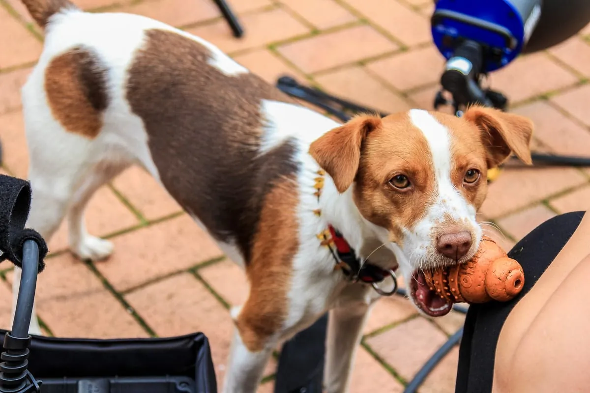 Powerfrauen im Handwerk