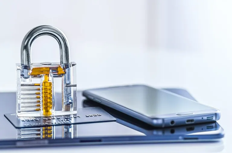 Fake-Shop, Cyber Crime