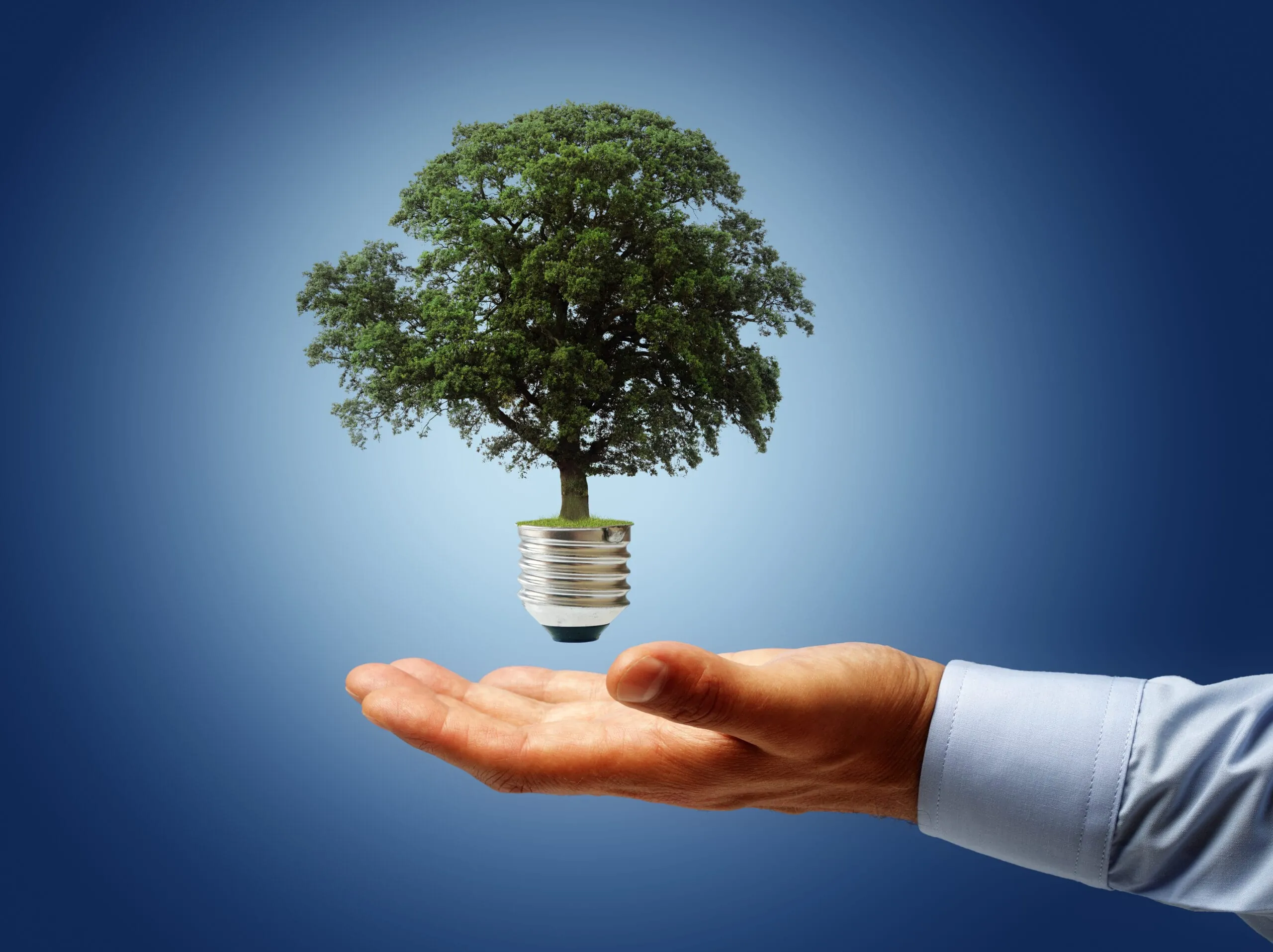 Mittelstand: Großes Potential für Dienstleistungen zur Energieeffizienz