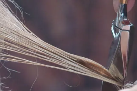 Seifriz  Preisträger 2018 Calligraph