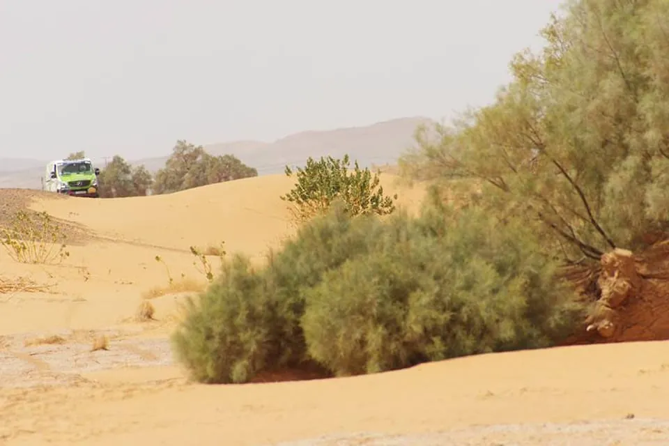 Rallye Aïcha des Gazelles 2014