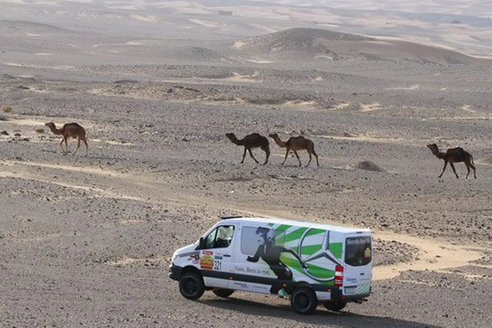 Rallye Aïcha des Gazelles 2014