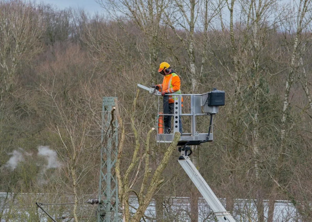 Hubarbeitsbühnen: Sicher arbeiten in luftiger Höhe