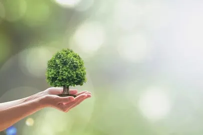 Deutsche Verbraucher achten immer mehr auf ihre Umwelt und wollen nachhaltig leben