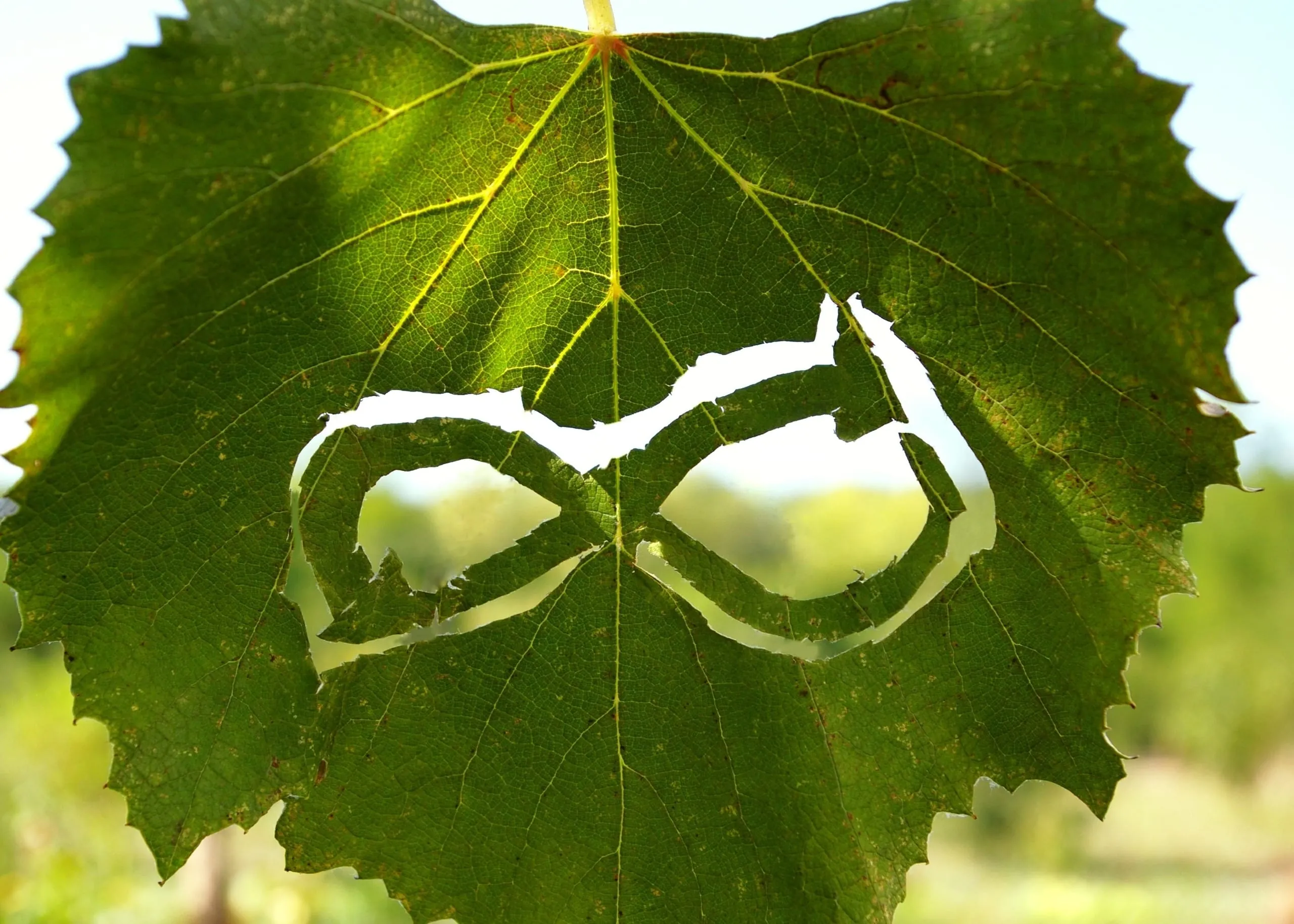 Kreislaufwirtschaft: Politik forciert Reparatur und den Einsatz wiederverwertbarer Produkte