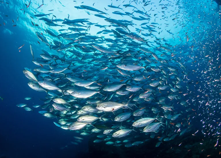 Superkräfte - Füreinander da sein