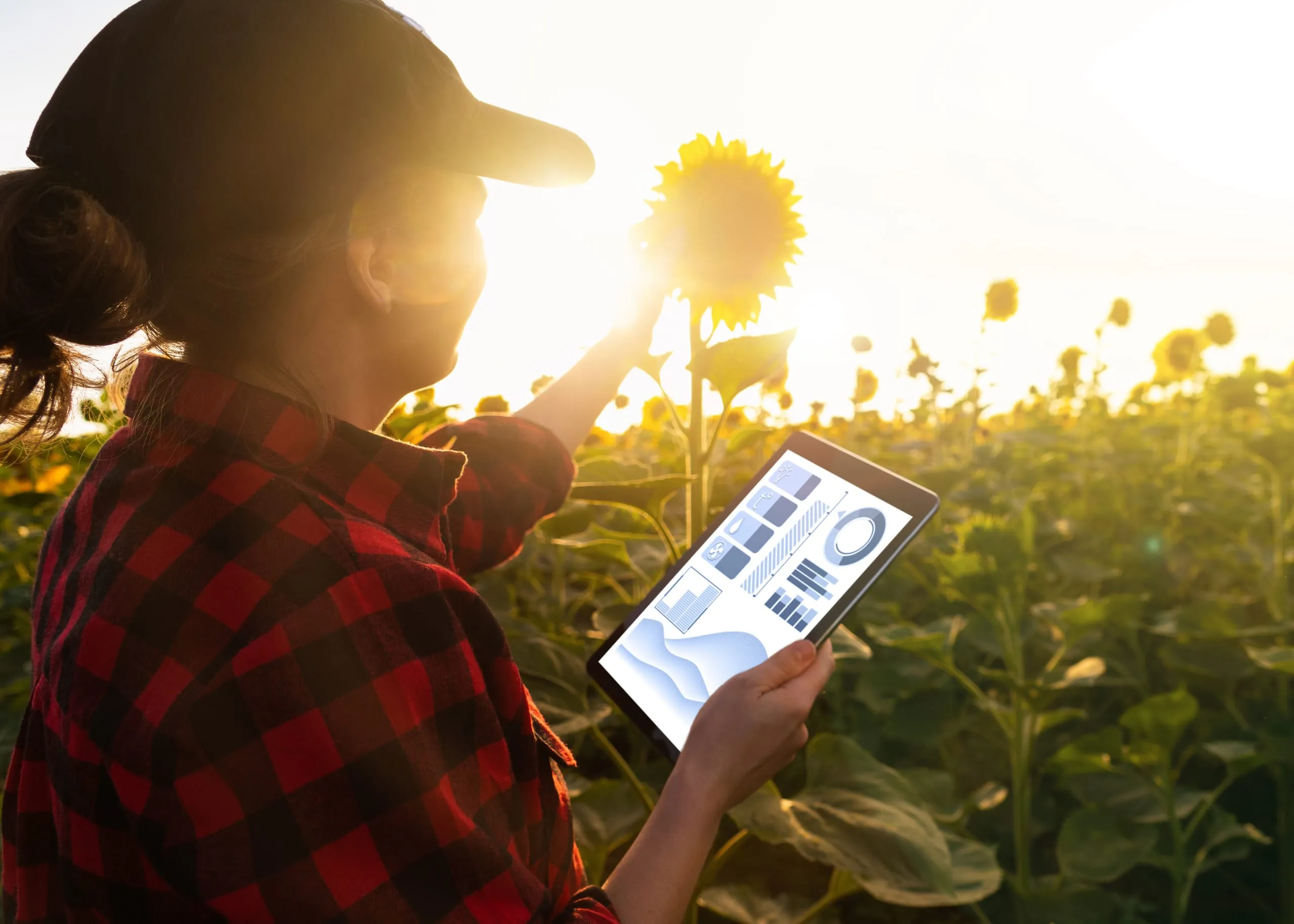 KI und Co.: Welche digitalen Technologien beim Energiesparen helfen