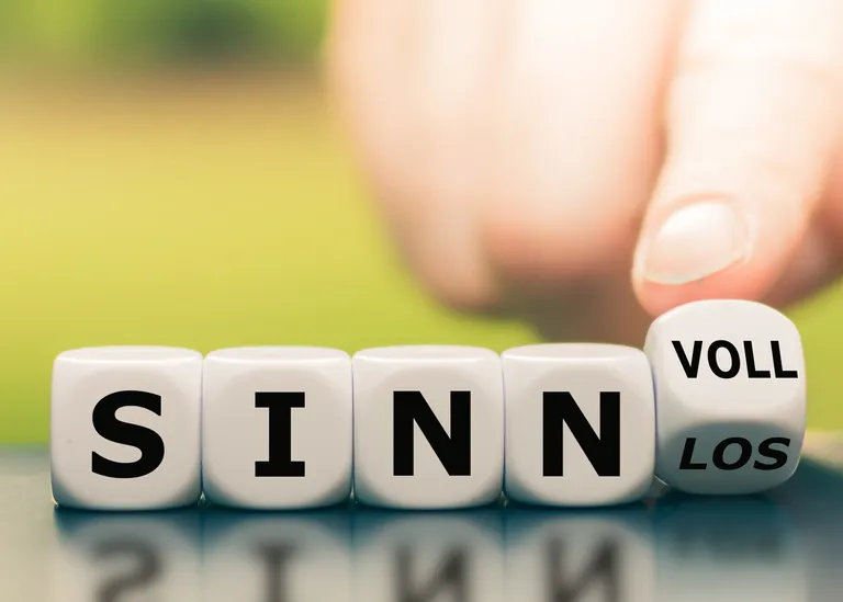 Auf dem Weg zur Sinngesellschaft: Menschen wollen heute eine T&auml;tigkeit aus&uuml;ben, die sie ausf&uuml;llt.