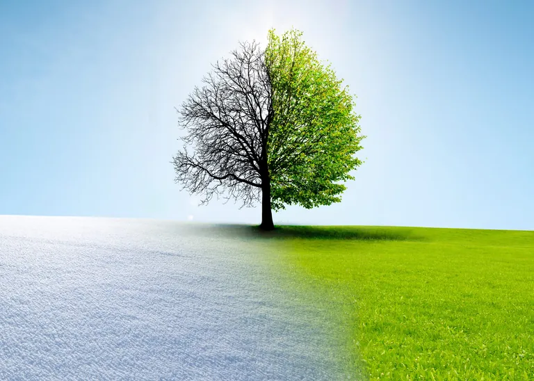 UFH Umfrage: Wie sind Sie durch den Winter gekommen?