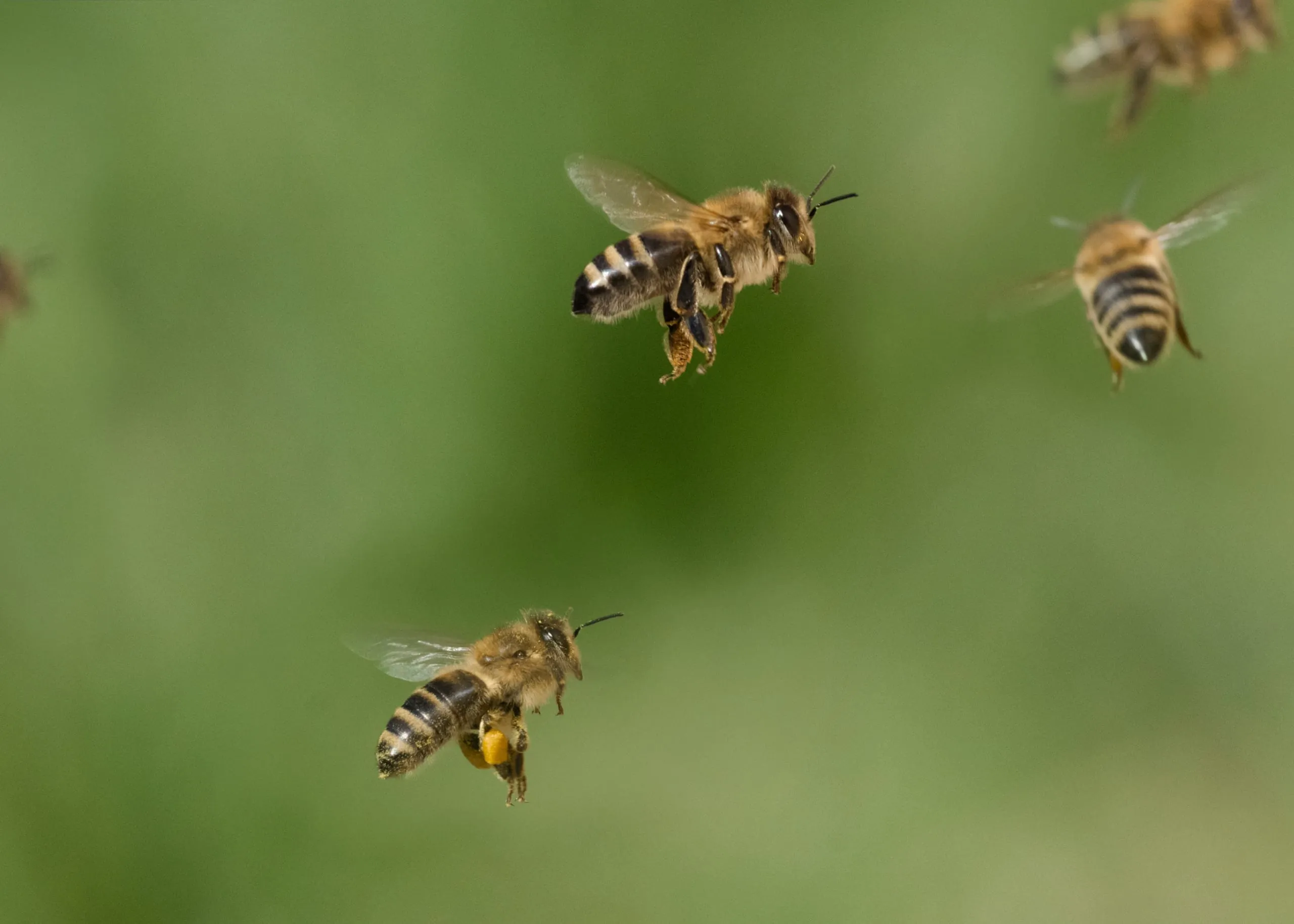 Fluktuationsrate: Häufiger Mitarbeiterwechsel kostet Betriebe zu viel Zeit und Energie