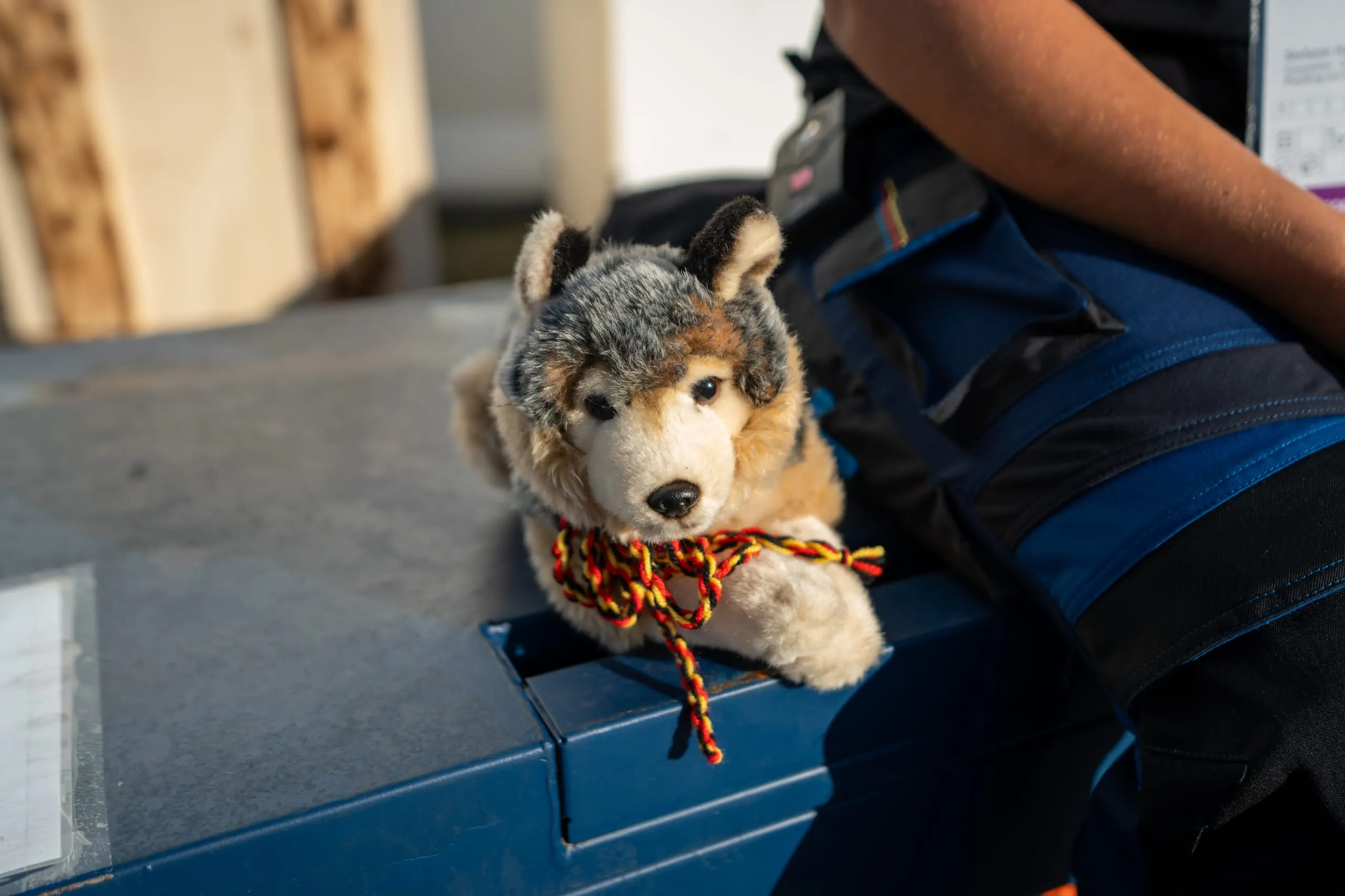 ...immer an ihrer Seite bei den EuroSkills 2023: ihr Glücksbringer Wolf "Coco".
