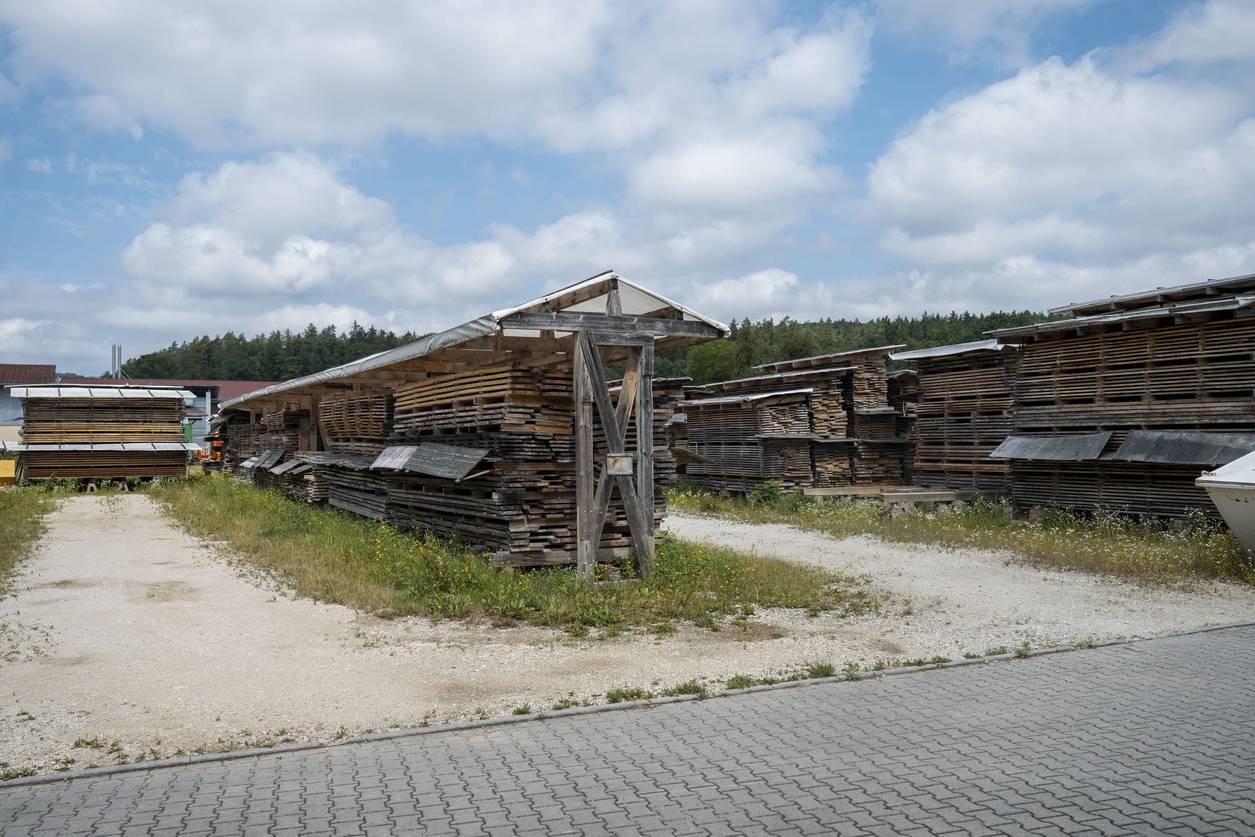 Zwei bis vier Jahre muss das Holz lagern, bis daraus individuelle und nachhaltige Möbel für die Kunden entstehen können.