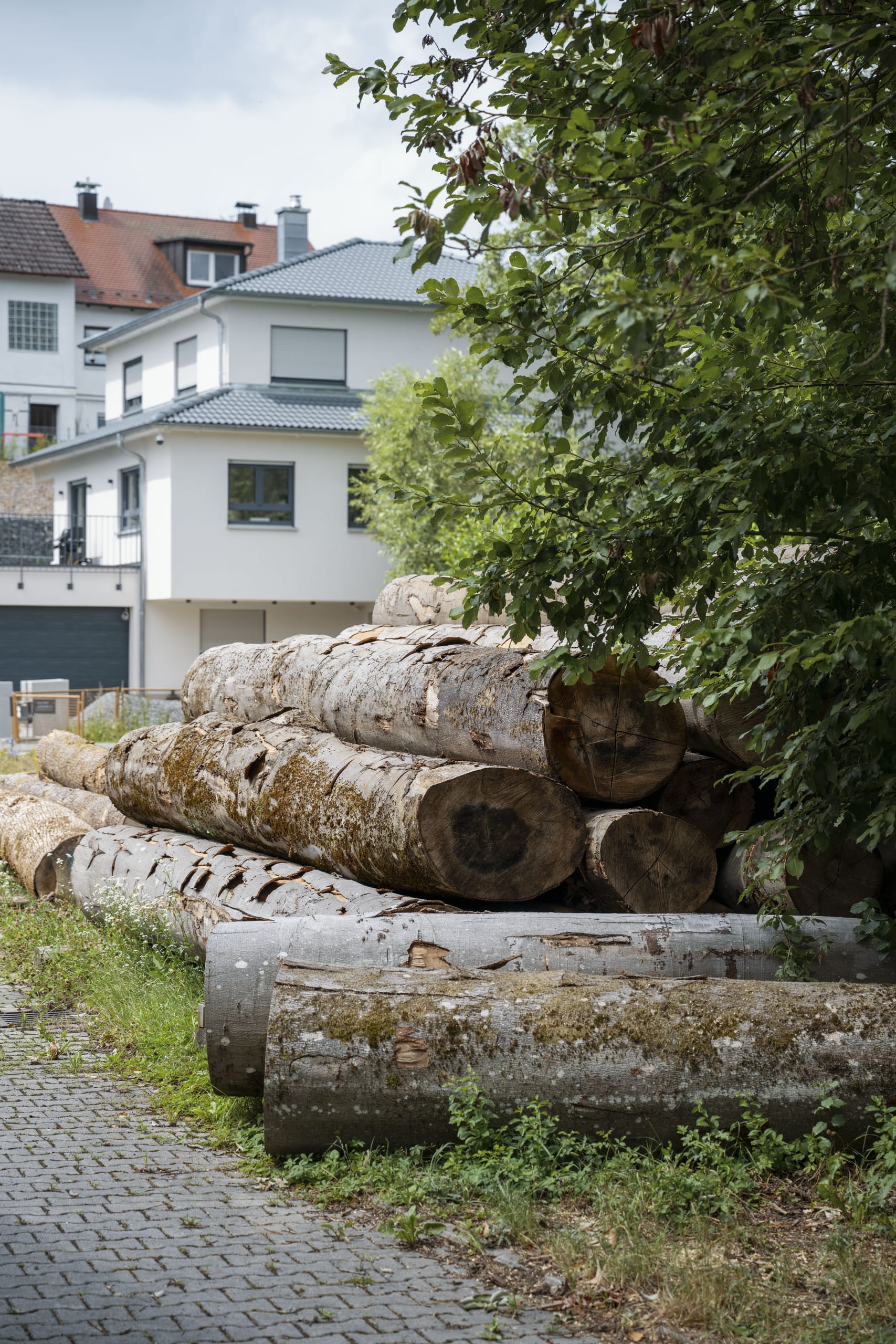 Das nicht mehr sägbare Rundholz bieten die Möbelmacher ihren Kunden an, Verwendungsideen von der Gartenbank bis hin zu Zahnstochern gibt es im regelmäßig erscheinenden Newsletter.