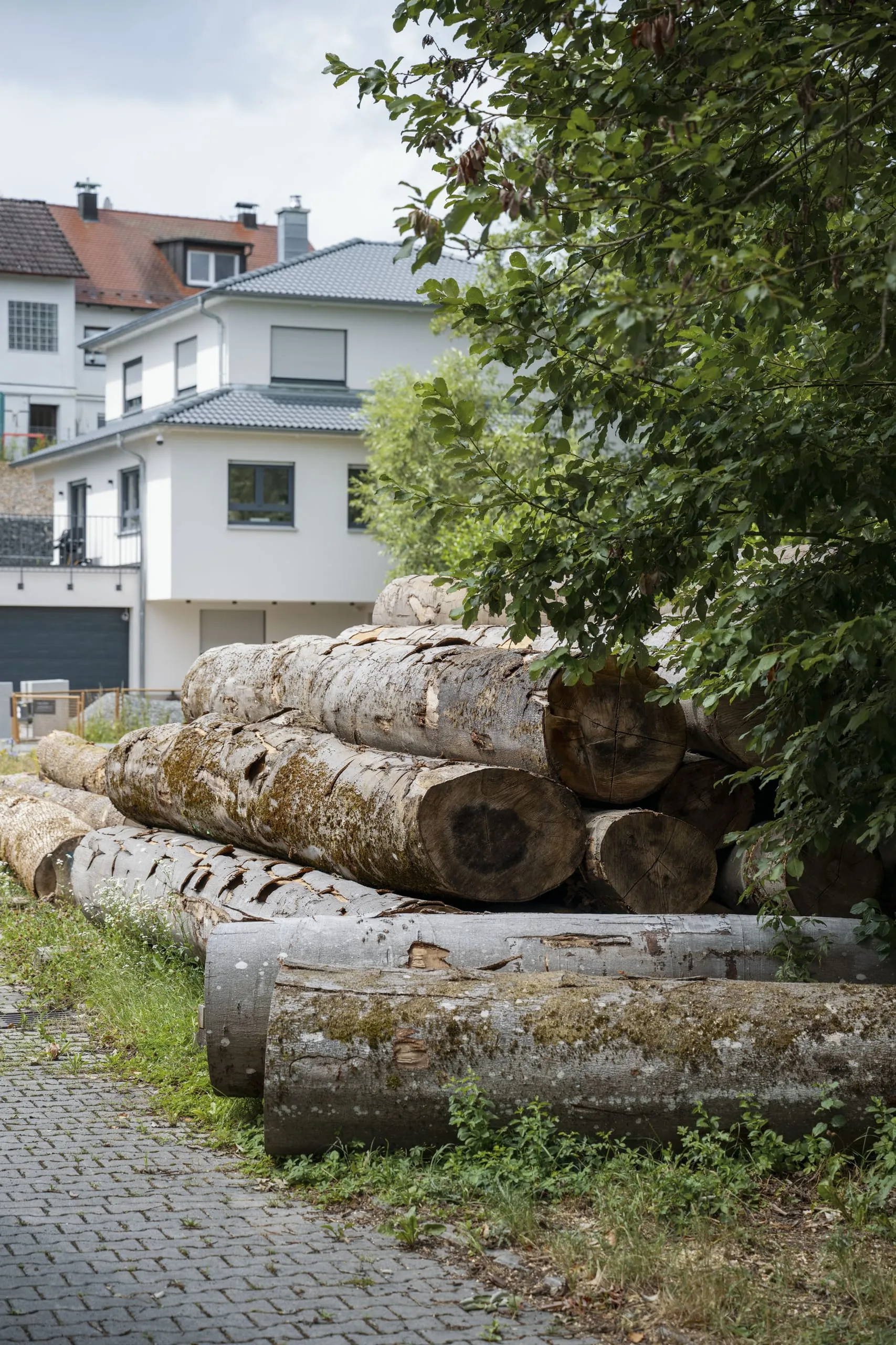 Das nicht mehr sägbare Rundholz bieten die Möbelmacher ihren Kunden an, Verwendungsideen von der Gartenbank bis hin zu Zahnstochern gibt es im regelmäßig erscheinenden Newsletter.