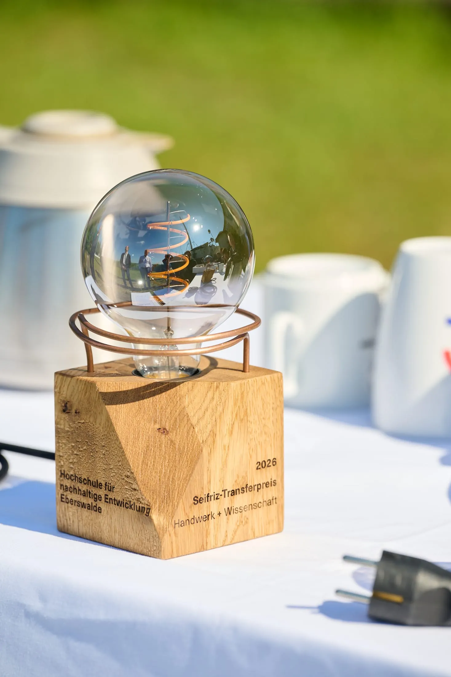 Eine der beiden Trophäen: Der Sonderpreis für ganzheitliche Nachhaltigkeit wird von der IKK classic dotiert.